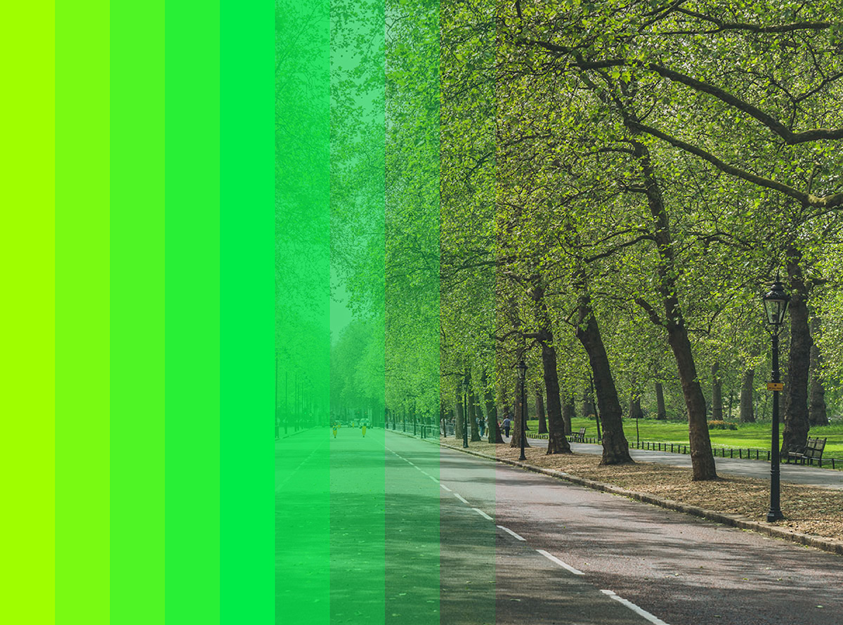 Get to know your reward image